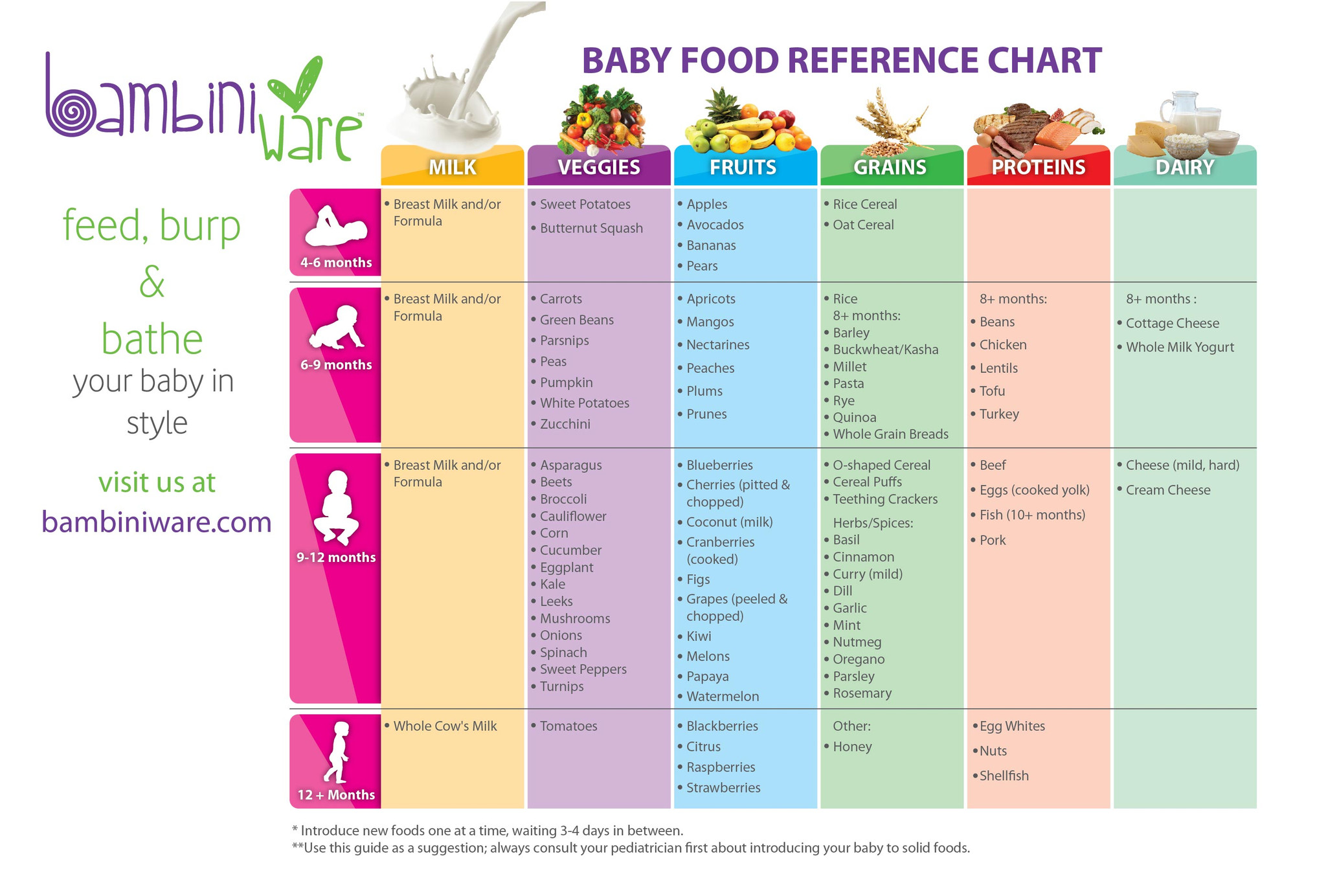 6 Month Baby Solid Food Chart